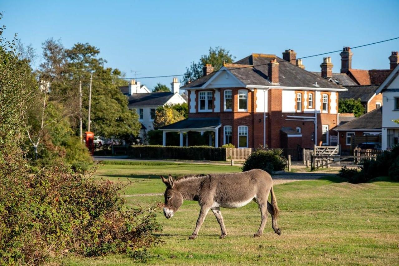 Surrey Lodge Brockenhurst Exterior foto