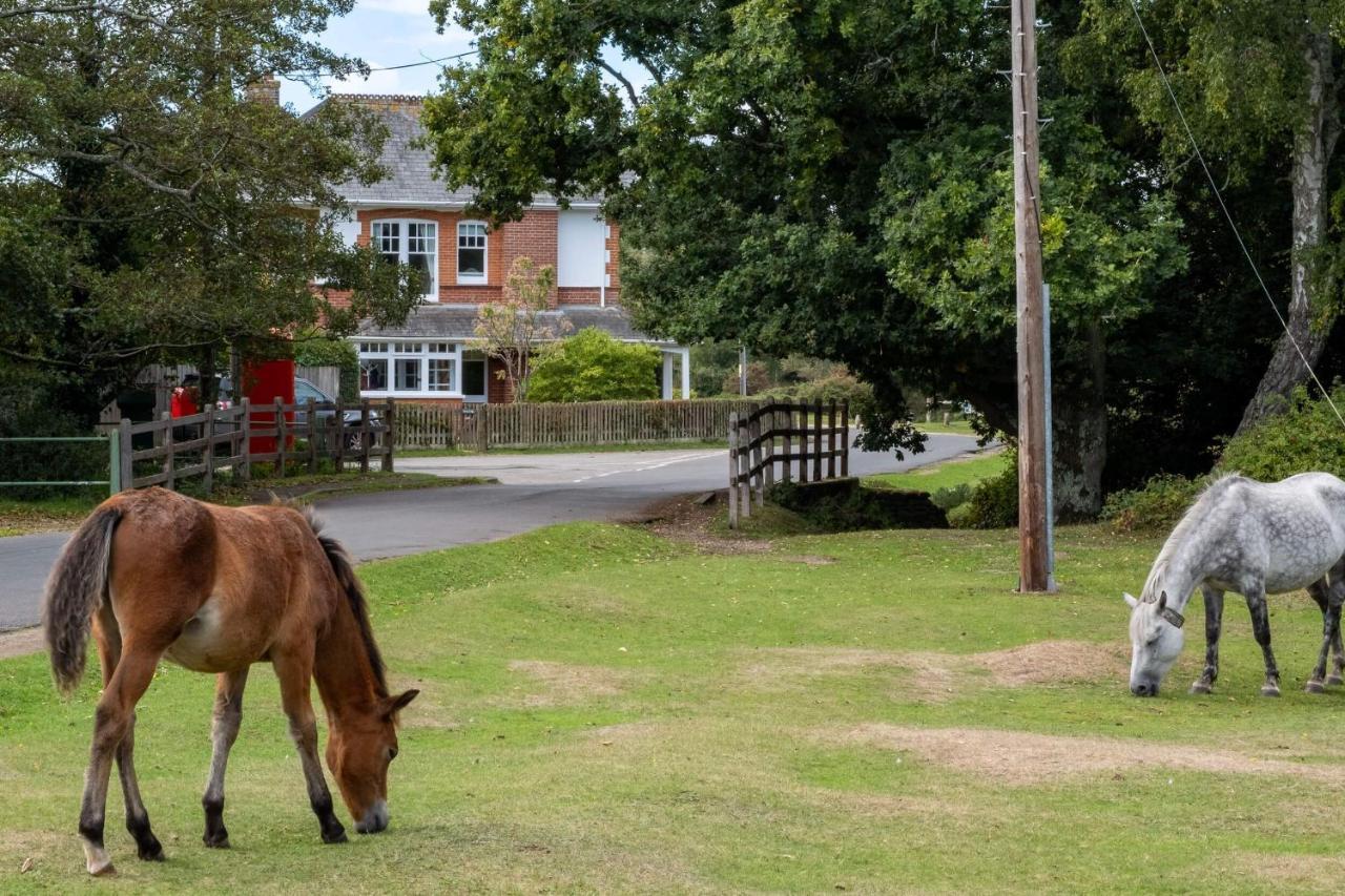 Surrey Lodge Brockenhurst Exterior foto